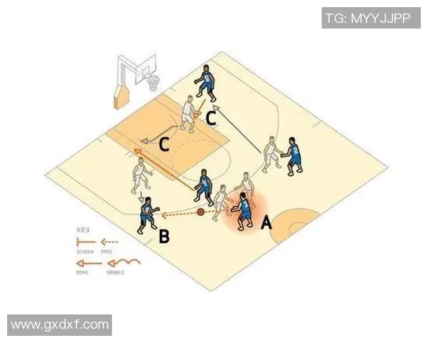 杭州篮球队在世界杯中的战术解析与表现评估