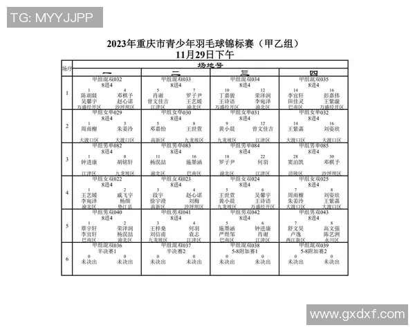 重庆羽毛球队在世界锦标赛中的崛起与成长历程全景回顾