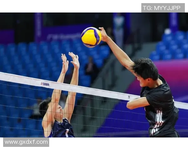 重庆排球队节奏之争引发热议球迷观点各异引发讨论